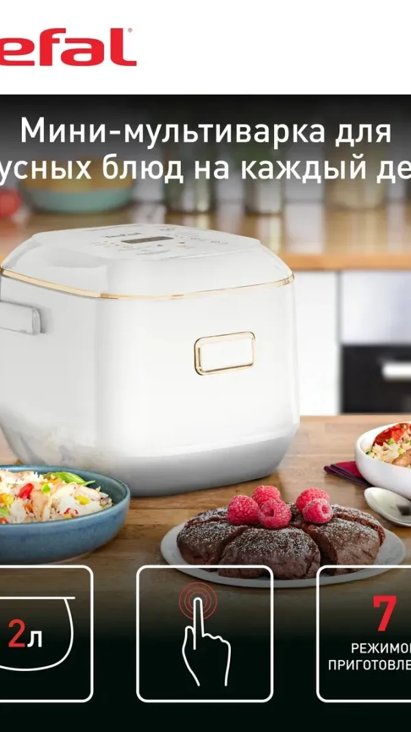 Мультиварка RK601132 Mini со сферической чашей и 7 режимами